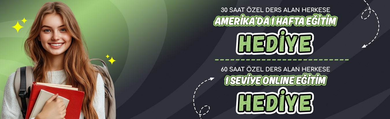 Amerika Online 1350x415 1